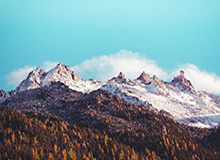 开云体育风控:守护信任与公正的风控之路