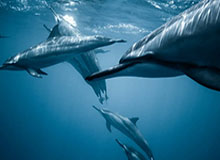 开云体育-开云体育——引领新时代运动潮流的首选平台